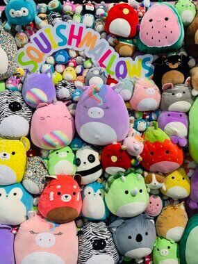 Squishmallows Live Sale Post